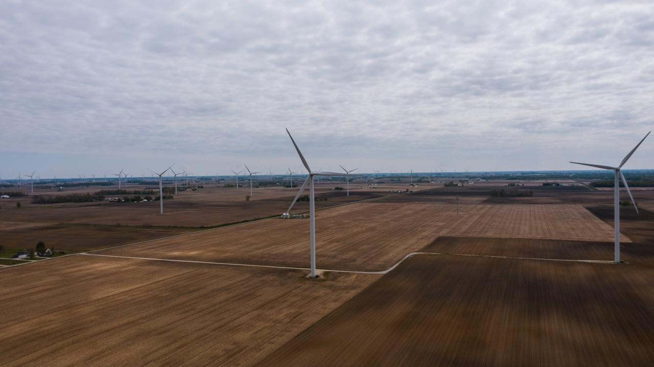 Les Fondements de la Permaculture